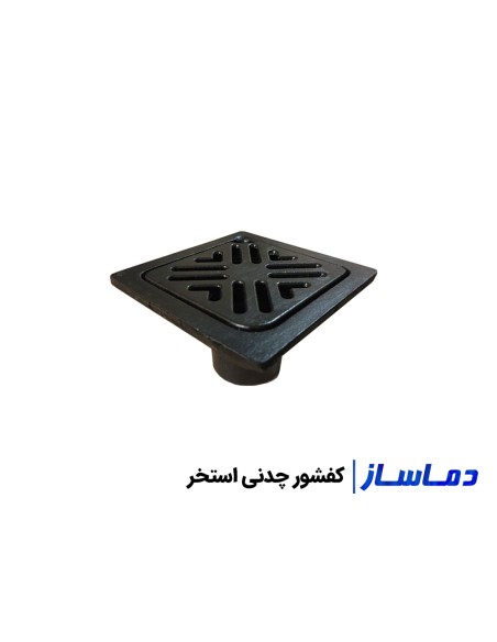 قیمت و خرید کفشور استخر پلاستیکی ، استیل و چدنی